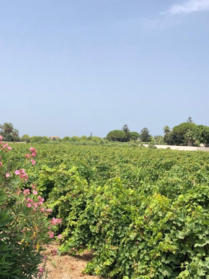فيلا Stella Marina مارسالا المظهر الخارجي الصورة
